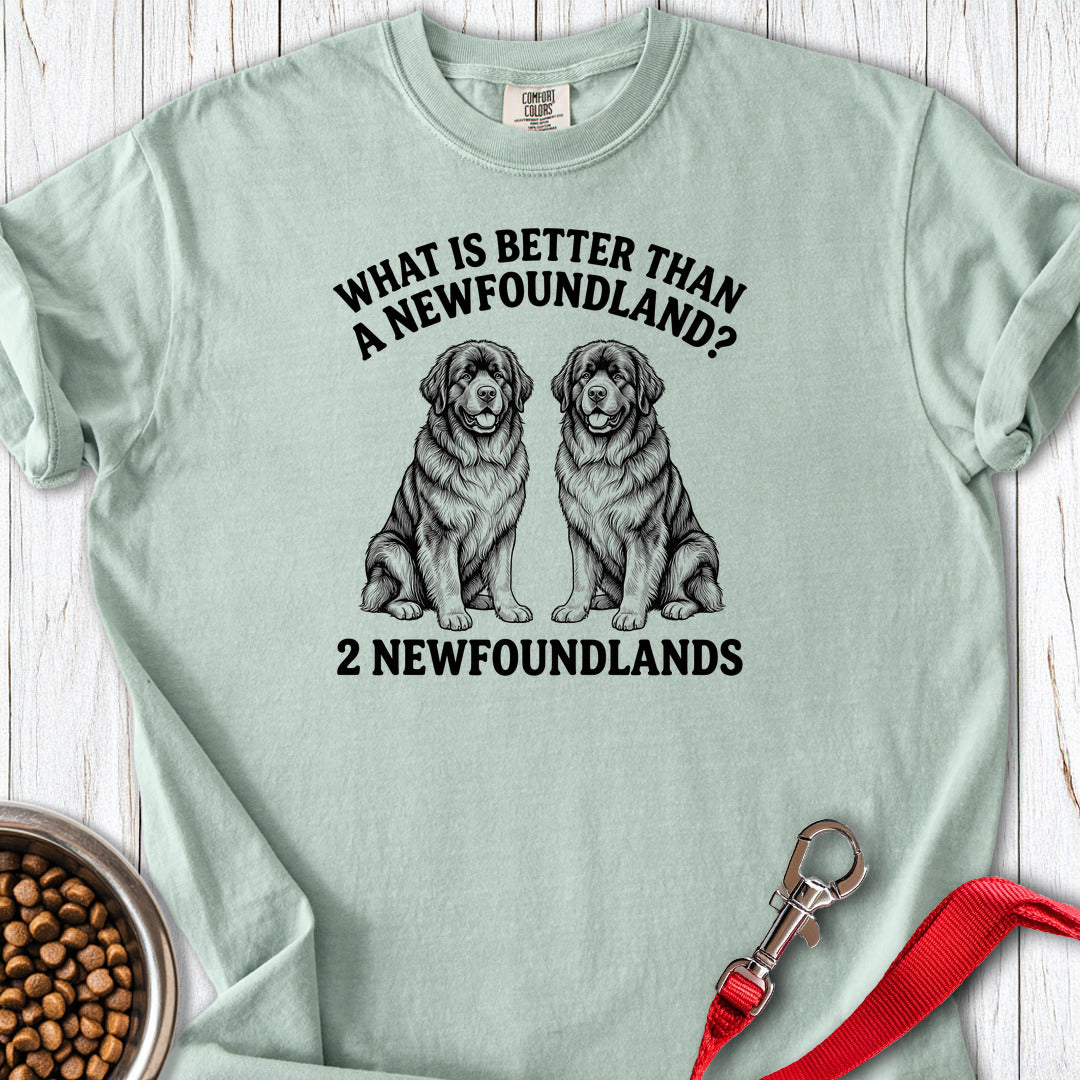 Newfoundland What Is Better Than One Premium Tee Gift For Dog Lover