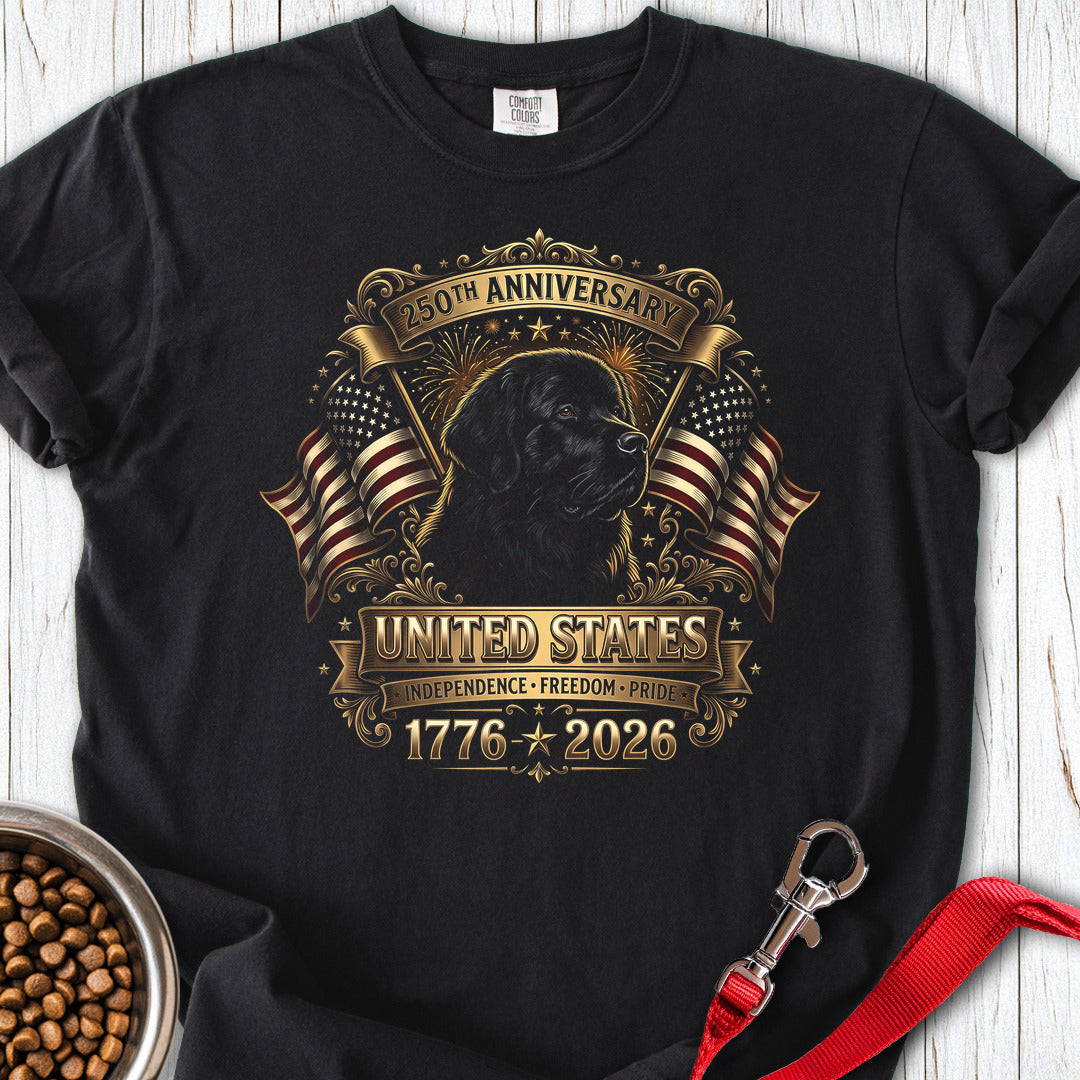 Newfoundland USA 250 Anniversary Premium Tee Gift For Dog Lover