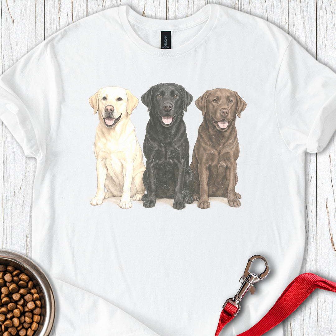 Multi Color Labs Faded T Shirt Gift For Dog Lover