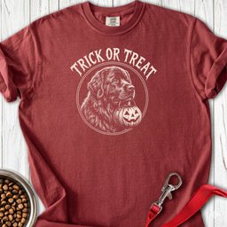 Newfoundland Trick Or Treat Premium Tee Gift For Dog Lover