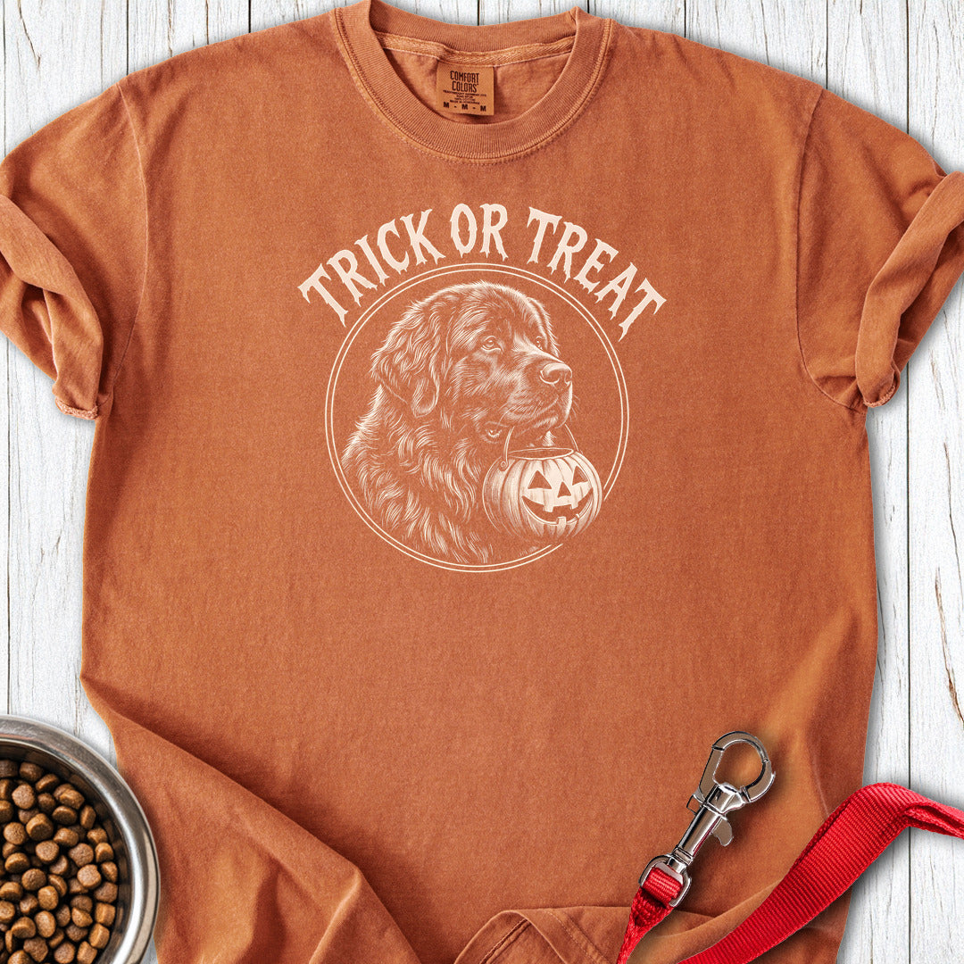 Newfoundland Trick Or Treat Premium Tee Gift For Dog Lover