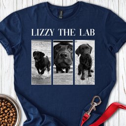Personalized Lab Photo Frame T Shirt Gift For Dog Lover