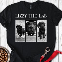 Personalized Lab Photo Frame T Shirt Gift For Dog Lover