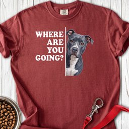 Pitbull Blue Where Are You Going Premium Tee Gift For Dog Lover