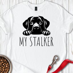 My Stalker Labrador T Shirt Gift For Dog Lover