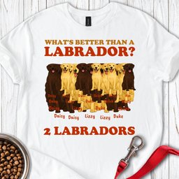 Personalized Fox Red Labrador T Shirt Gift For Dog Lover