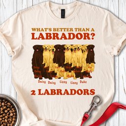 Personalized Fox Red Labrador T Shirt Gift For Dog Lover