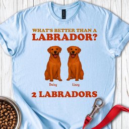 Personalized Fox Red Labrador T Shirt Gift For Dog Lover