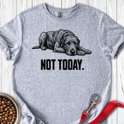 Not Today Irish Wolfhound T Shirt Gift For Dog Lover