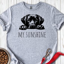 My Sunshine Labrador T Shirt Gift For Dog Lover