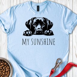 My Sunshine Labrador T Shirt Gift For Dog Lover