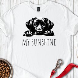 My Sunshine Labrador T Shirt Gift For Dog Lover