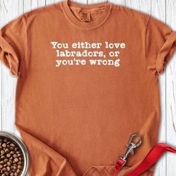 Love Labrador Premium Tee Gift For Dog Lover