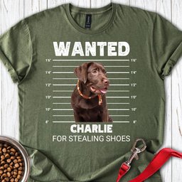 Personalized Chocolate Labrador Mugshot T Shirt Gift For Dog Lover