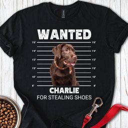 Personalized Chocolate Labrador Mugshot T Shirt Gift For Dog Lover