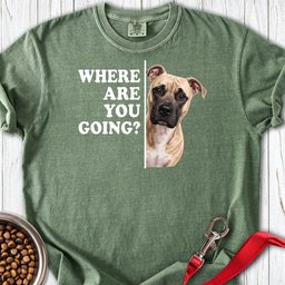 Pitbull Fawn Where Are You Going Premium Tee Gift For Dog Lover