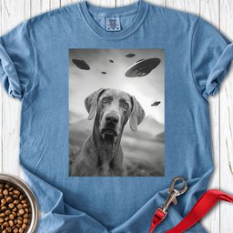 Weimaraner Ufo Premium Tee Gift For Dog Lover
