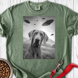 Weimaraner Ufo Premium Tee Gift For Dog Lover