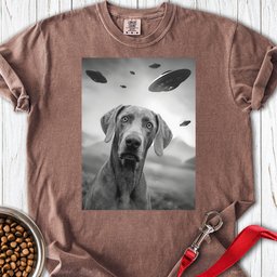 Weimaraner Ufo Premium Tee Gift For Dog Lover