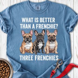 What Is Better Than A Frenchie Premium Tee Gift For Dog Lover