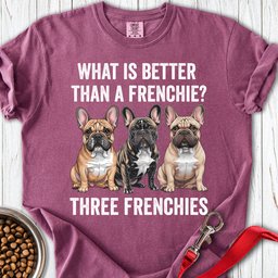 What Is Better Than A Frenchie Premium Tee Gift For Dog Lover
