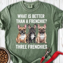 What Is Better Than A Frenchie Premium Tee Gift For Dog Lover