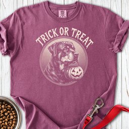 Rottweiler Trick Or Treat Premium Tee Gift For Dog Lover