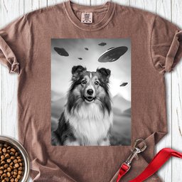 Shetland Sheepdog Ufo Premium Tee Gift For Dog Lover