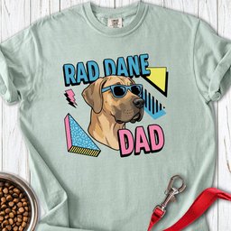 Rad Dane Dad 90s Premium Tee Gift For Dad