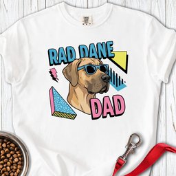 Rad Dane Dad 90s Premium Tee Gift For Dad