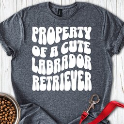 Property Of A Cute Labrador T Shirt Gift For Dog Lover
