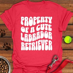 Property Of A Cute Labrador T Shirt Gift For Dog Lover