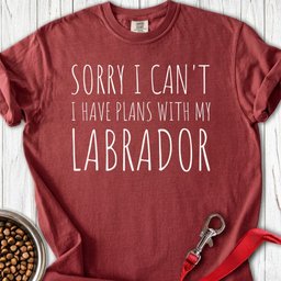 Plans With My Labrador Premium Tee Gift For Dog Lover