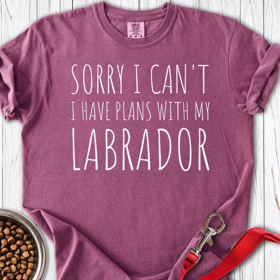 Plans With My Labrador Premium Tee Gift For Dog Lover