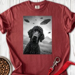 Standard Poodle Ufo 2 Premium Tee Gift For Dog Lover