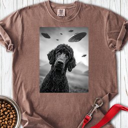Standard Poodle Ufo 2 Premium Tee Gift For Dog Lover