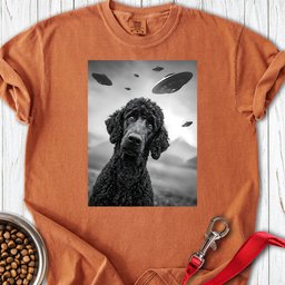 Standard Poodle Ufo 2 Premium Tee Gift For Dog Lover