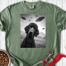Standard Poodle Ufo 2 Premium Tee Gift For Dog Lover