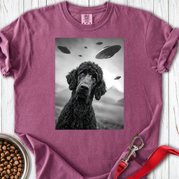 Standard Poodle Ufo 2 Premium Tee Gift For Dog Lover