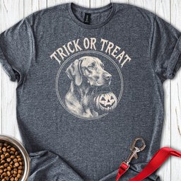 Vizsla Trick Or Treat T Shirt Gift For Dog Lover