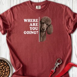 Standard Poodle Where Are You Going 2 Premium Tee Gift For Dog Lover