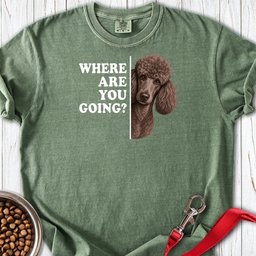 Standard Poodle Where Are You Going 2 Premium Tee Gift For Dog Lover
