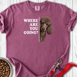 Standard Poodle Where Are You Going 2 Premium Tee Gift For Dog Lover