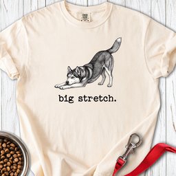 Siberian Husky Big Stretch Premium Tee Gift For Dog Lover