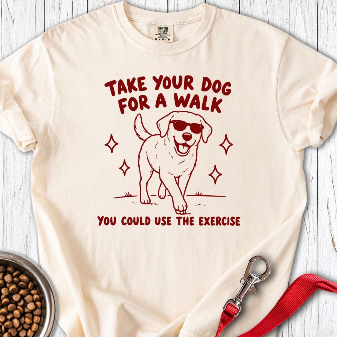 Sarcastic Labrador Premium Tee Gift For Dog Lover