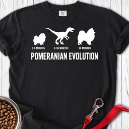 Pomeranian Evolution Premium Tee Gift For Dog Lover