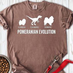 Pomeranian Evolution Premium Tee Gift For Dog Lover