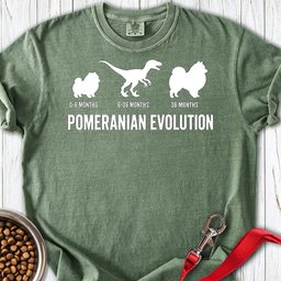 Pomeranian Evolution Premium Tee Gift For Dog Lover