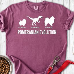 Pomeranian Evolution Premium Tee Gift For Dog Lover