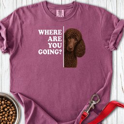 Standard Poodle Where Are You Going Chocolate Premium Tee Gift For Dog Lover